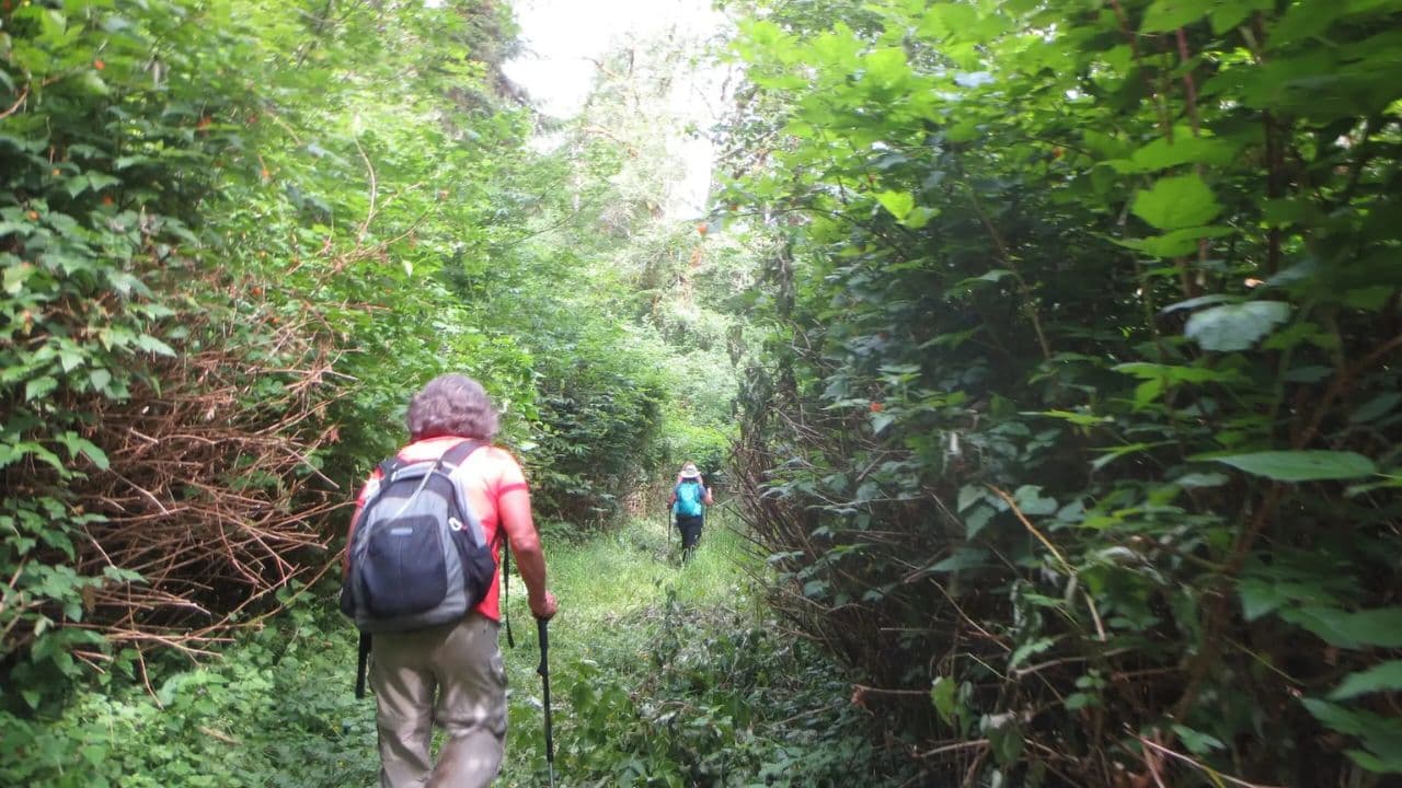 Wanderung zu den 27 Wasserfällen von Damajagua von Sto. Dgo. — Guided tour and outdoor activity