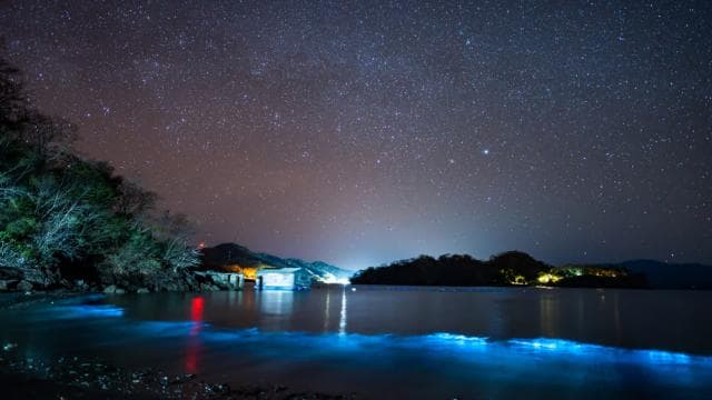Bioluminescence Tour; Speedboat, Camping (From Puntarenas) â Guided tour and outdoor activity