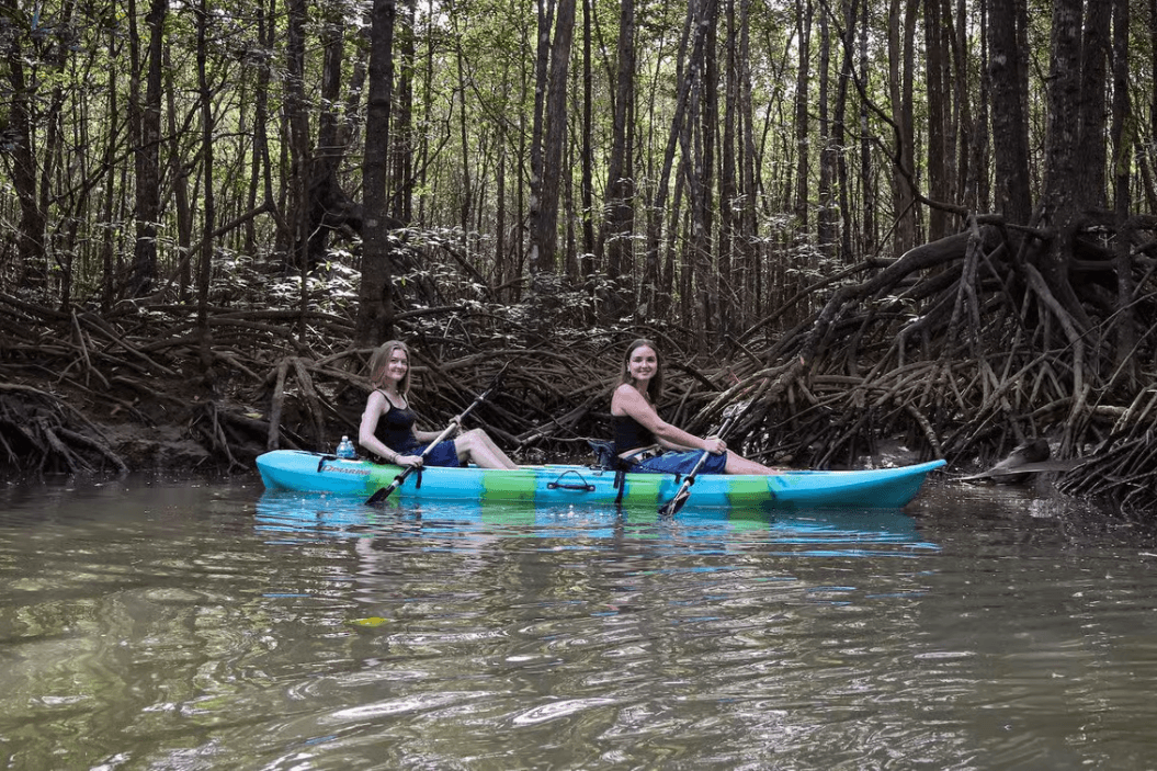Quepos: Kayak Tour in the Mangroves Near Manuel Antonio Park — Guided tour and outdoor activity