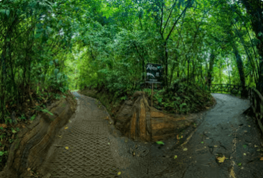 La Fortuna: Místico Arenal Hanging Bridges Admission Ticket — Guided tour and outdoor activity