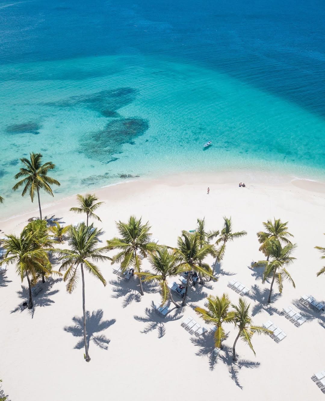 Los Haitises National Park & ​​Cayo Levantado Tour Guide (Samaná Day Trip)