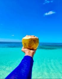 BahĂa de las Ăguilas Private Full Day VIP All-Inclusive from Santo Domingo â Guided tour and outdoor activity