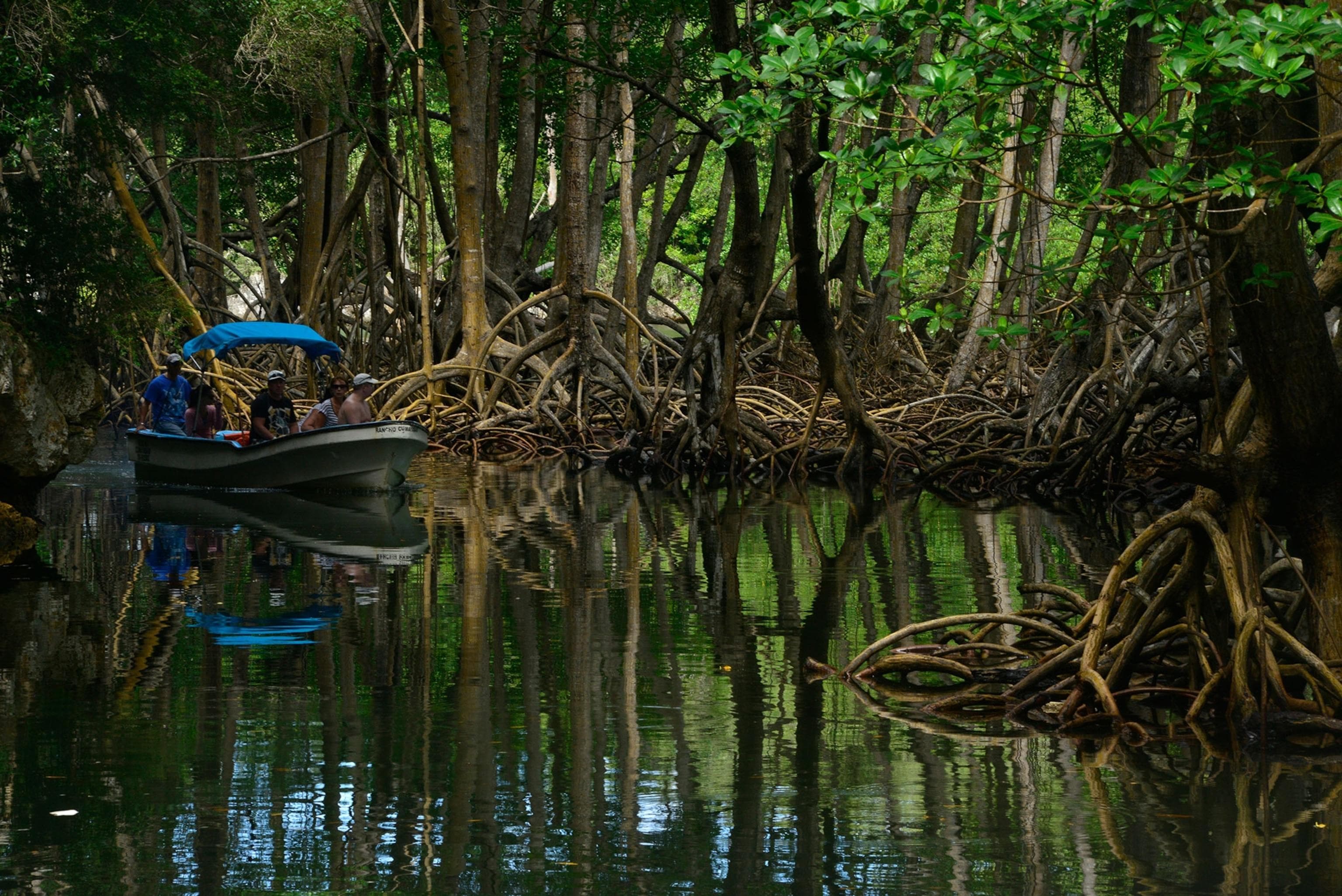Los Haitises from Punta Cana: Is It Worth It in 2026?
