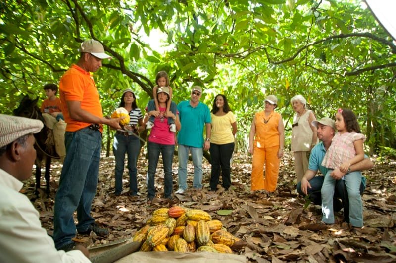 Dominican Republic: 3-Hour Chocolate Lovers Tour - Image 3
