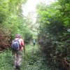 27 Waterfalls Tour with Entrance Fee & Lunch - immagine 3