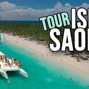 Punta Cana : excursion d'une journée à Isla Saona en catamaran