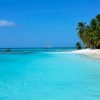 Punta Cana: Catamaran to Saona Island with Lunch & Open Bar - Afbeelding 5