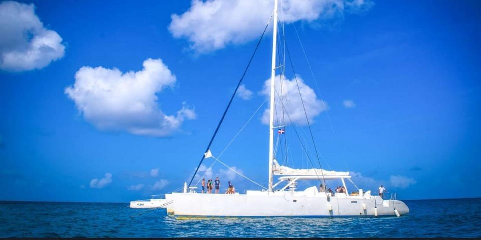Aventura Exótica a Isla Saona: Paraíso en la Piscina Natural – Image 8