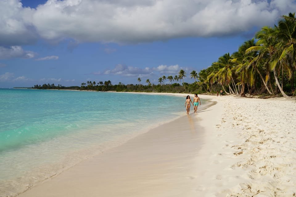 Saona Island: 6 Hour Private Tour with Snorkeling - Image 7