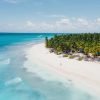 All Inclusive Saona Island Experience from Punta Cana - Image 9