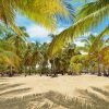 Punta Cana: Boat Tour to Isla Saona, Open Bar & Buffet Lunch - Image 9
