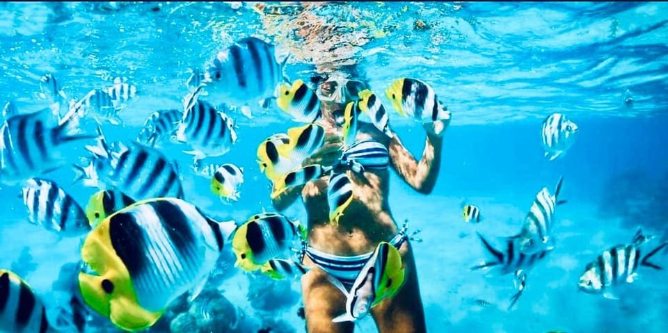 Aventura Exótica a Isla Saona: Paraíso en la Piscina Natural – Image 10