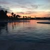 Punta Cana: Dolphin Discovery Swims and Encounters - Image 11