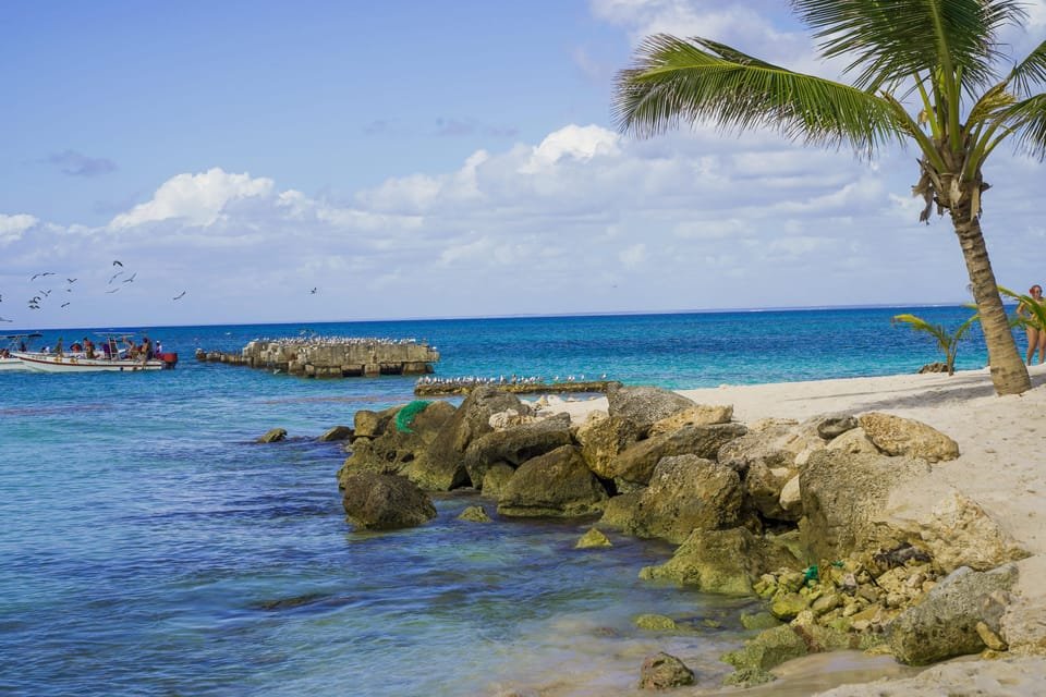 Saona Island: 6 Hour Private Tour with Snorkeling - Image 10