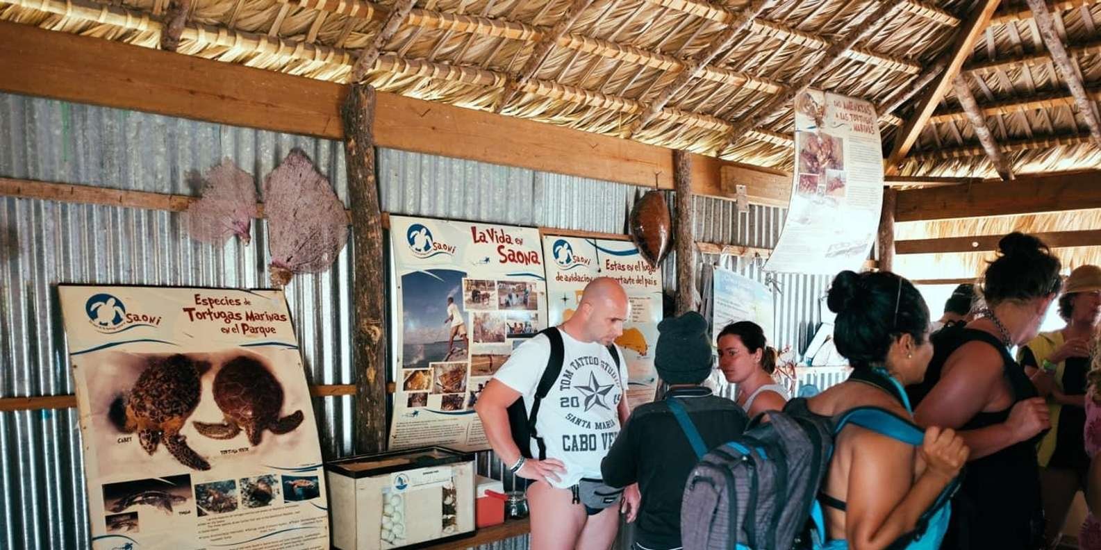 saona premium mano Juan canto de la playa sightseeing tour - Image 3