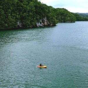 Samana: Private Los Haitises Expedition Caves & Mangroves