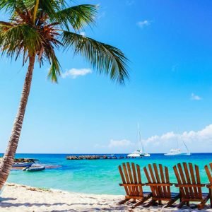 Punta Cana : Croisière en catamaran vers l'île de Saona avec déjeuner buffet