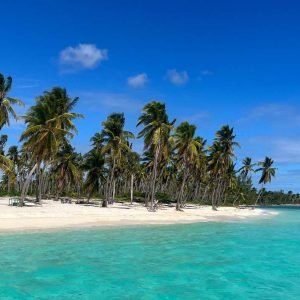 Depuis La Romana : l'île de Saona pour les passagers de Costa Croisières