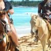 2hour horseback riding adventure on the beach jungle & river - Image 7