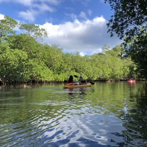 Los Haitises Kayak & Caño Hondo Pools – Group Tour From Miches