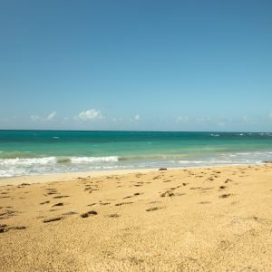 Complete Samaná Tour: Jackson Beach – Hiking, River Ride, and Snorkeling from La Majagua