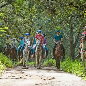 Horseback Riding Adventure to Salto Jimenoa  Jarabacoa